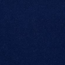 Philadelphia Commercial No Rules Floyd Park 36 Newport