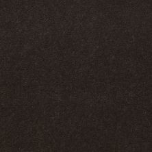 Philadelphia Commercial No Rules Floyd Park 36 Brocade