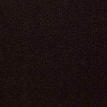 Philadelphia Commercial No Rules Floyd Park 36 Coffee Bean