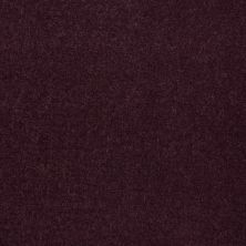 Philadelphia Commercial No Rules Floyd Park 30 Perfect Plum