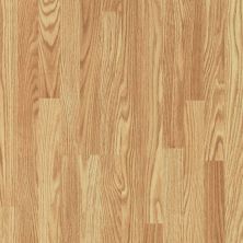 Shaw Floors Versalock Laminate Classic Concepts Big Bend Oak 02212_SL111
