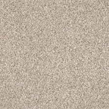 Shaw Floors Comprise Granite 0741B_SM004