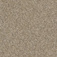 Shaw Floors Caveat Moonlit Sand 00103_SM016