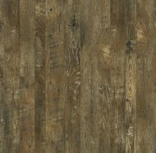 Shaw Floors Sumitomo Forestry Dryroad Brazen 07007_SM8SF