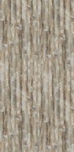 Shaw Floors Sumitomo Forestry Whitetail Trail Radical Rustic 05010_SM9SF