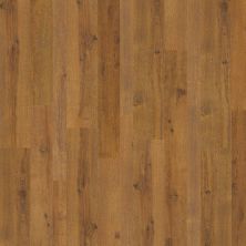 Shaw Floors Sumitomo Forestry Whitetail Trail Spice Brown 07010_SM9SF
