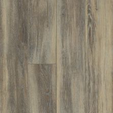 Shaw Floors Contract Sabbia 00161_SMR01