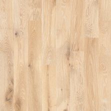 Shaw Floors Shaw Hardwoods Compare Tapestry 00146_SMW01