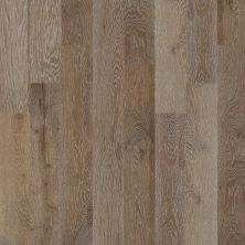Shaw Floors Shaw Hardwoods Compare Drawbridge 00514_SMW01