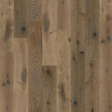 Shaw Floors Shaw Hardwoods Compare Baroque 05031_SMW01