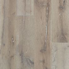 Shaw Floors Shaw Hardwoods Compute Tinderbox 05082_SMW04