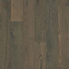 Shaw Floors Shaw Hardwoods Confide Morgan 07024_SMW07