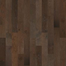 Shaw Floors Shaw Hardwoods Confide Rockefeller 09008_SMW07