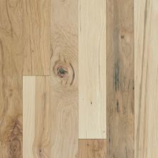 Shaw Floors Shaw Hardwoods Consign Canopy 01032_SMW10