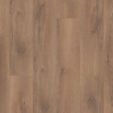 Shaw Floors Sumitomo Forestry Alamosa Lane Expressive Brown 06006_SN1SF