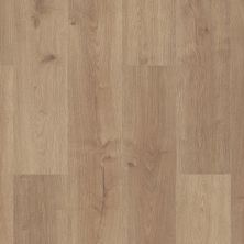 Shaw Floors Sumitomo Forestry Luna Park Genuine 02025_SN8SF