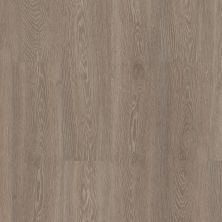 Shaw Floors Sumitomo Forestry Luna Park Renewed 07726_SN8SF