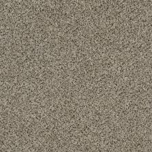 Shaw Floors Stateline Granite 00103_SNS34