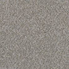 Shaw Floors Marina I Granite 00551_SNS37