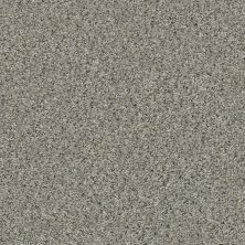 Shaw Floors Temescal Rhino 00501_SNS40