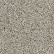 Shaw Floors Temescal Silversmith 00700_SNS40