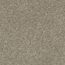 Shaw Floors Rincon Clay 00701_SNS41