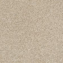 Shaw Floors Zuma Beach Biscotti 00100_SNS47