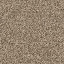 Shaw Floors Shaw On Shelf Diani Beach II (b) Burlap 00110_SNS56