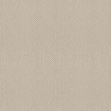 Shaw Floors Shaw On Shelf Gearhart Beach Alabaster