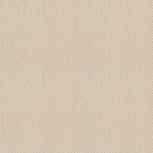 Shaw Floors Shaw On Shelf Gearhart Beach Ivory Paper