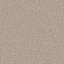 Shaw Floors Seacliff I Sandstone 00743_SNS64