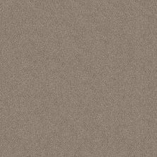 Shaw Floors Muscle Shoals Timeless Tan 00704_SNS65