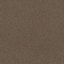 Shaw Floors Muscle Shoals Chestnut 00707_SNS65