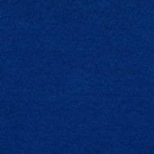 Shaw Floors Gaviota I 12 Cobalt 55453_SNS68