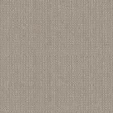 Shaw Floors El Capitan I Newstone Haven