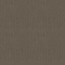 Shaw Floors El Capitan I Ridgeview