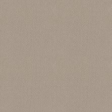 Shaw Floors El Capitan III Newstone Haven