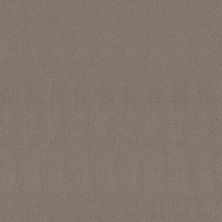 Shaw Floors El Capitan III River Run