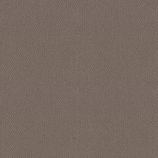 Shaw Floors El Capitan III Ridgeview