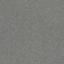 Shaw Floors Point Sur II 12 Taupe Stone 00502_SNS78
