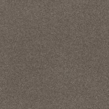 Shaw Floors Point Sur III 12 Pewter 00701_SNS80