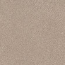 Shaw Floors Mandalay Bay 743 00743_SNS84