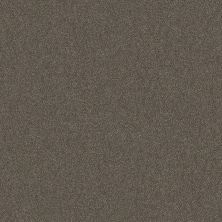 Shaw Floors Simply The Best Pl Klipsan Beach Boardwalk 00702_SNS85