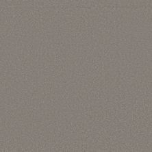 Shaw Floors Neptune II Boulder Taupe 00117_SNS91