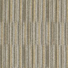 Philadelphia Commercial Shaw On Shelf Maya Beach Selection