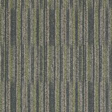 Philadelphia Commercial Shaw On Shelf Maya Beach Specimen