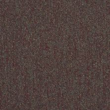 Philadelphia Commercial Special Project Commercial Sp004 Bonus