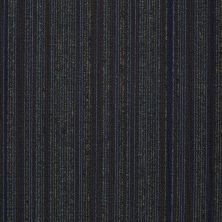 Philadelphia Commercial Special Project Commercial Sp210 Electrify