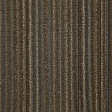 Philadelphia Commercial Special Project Commercial Sp210 Energize