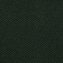 Philadelphia Commercial Special Project Commercial Sp286 Pine Haven